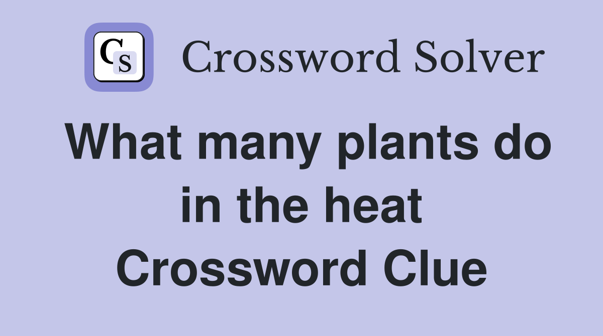 What many plants do in the heat Crossword Clue