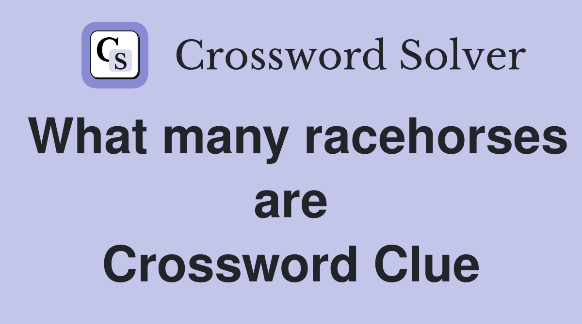 What many racehorses are Crossword Clue