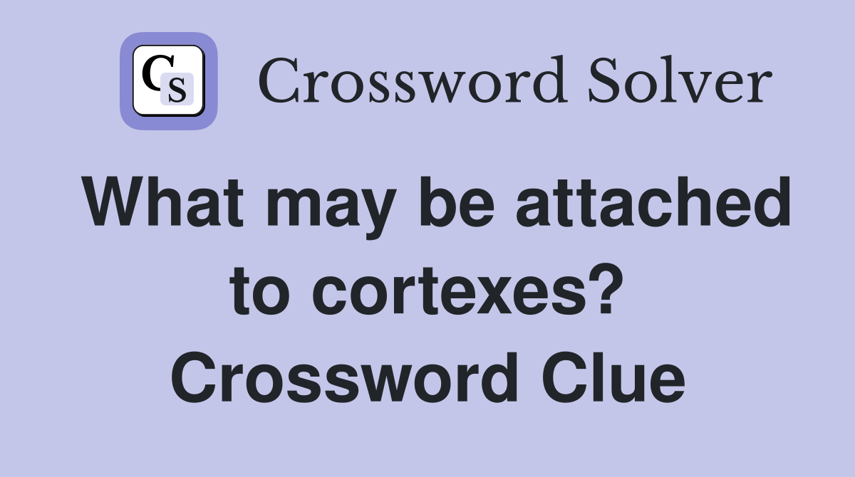 What may be attached to cortexes? Crossword Clue