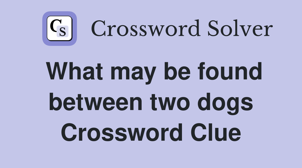 What may be found between two dogs Crossword Clue