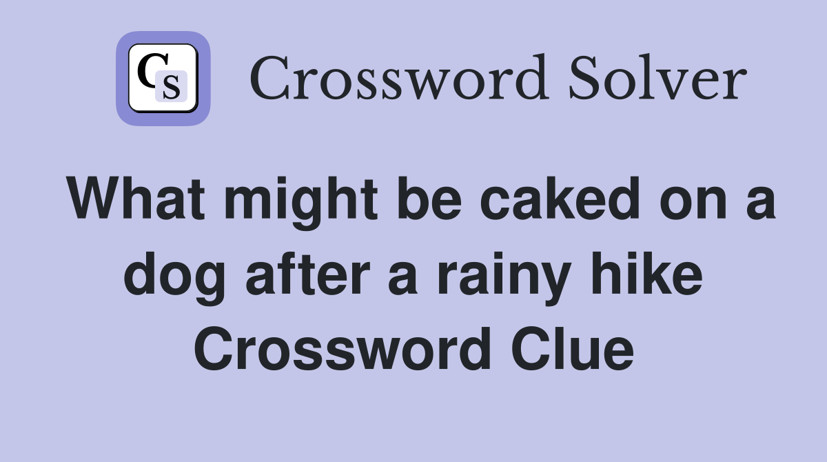What might be caked on a dog after a rainy hike Crossword Clue