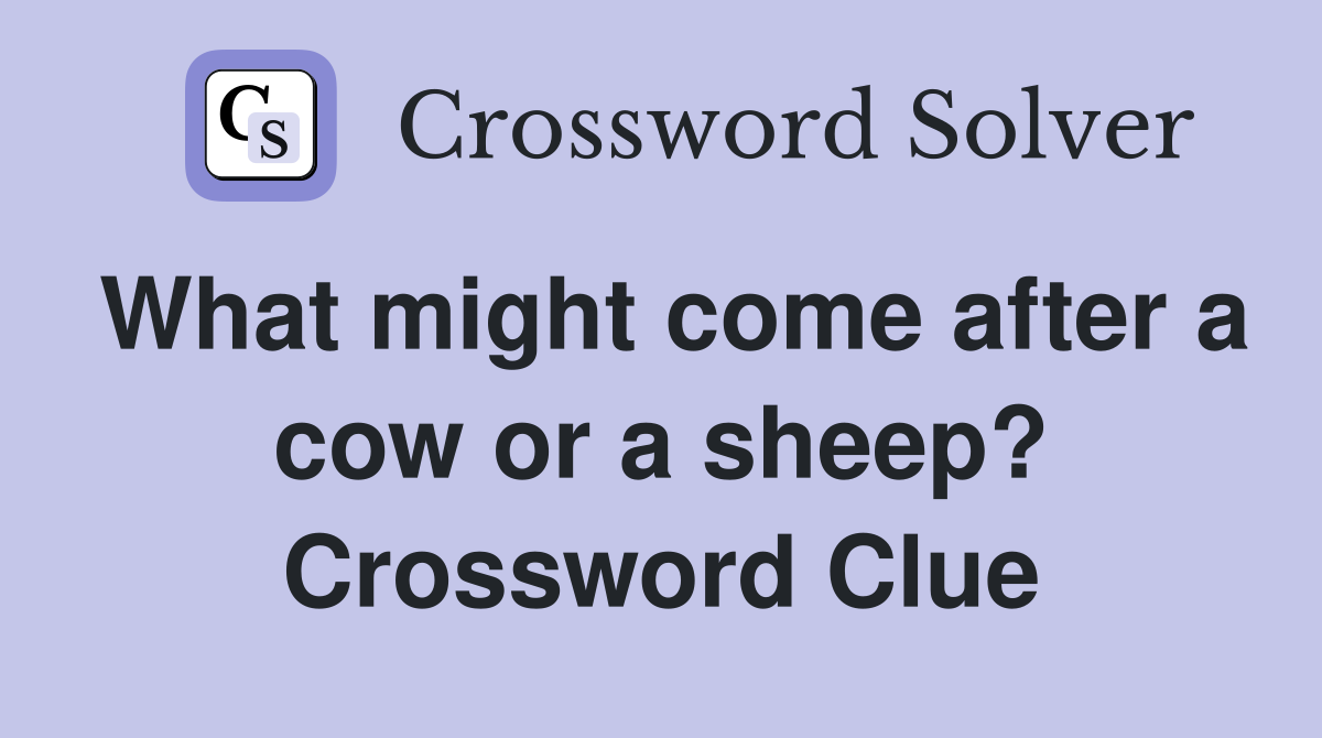 What might come after a cow or a sheep? Crossword Clue
