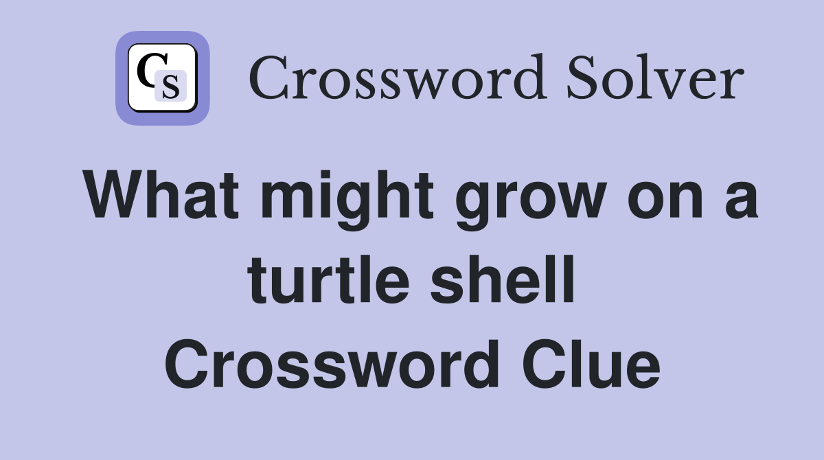 What might grow on a turtle shell Crossword Clue
