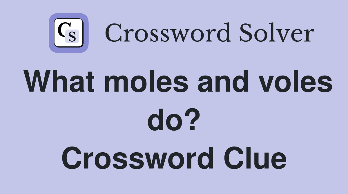 What moles and voles do? Crossword Clue