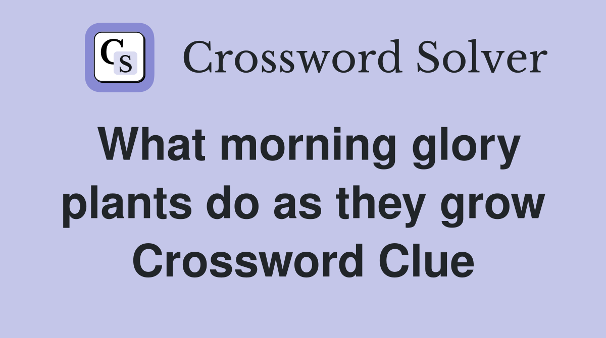 What morning glory plants do as they grow Crossword Clue