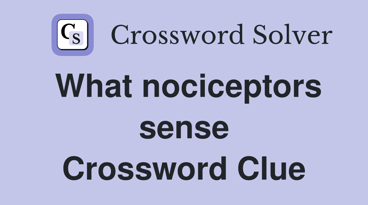 What nociceptors sense Crossword Clue