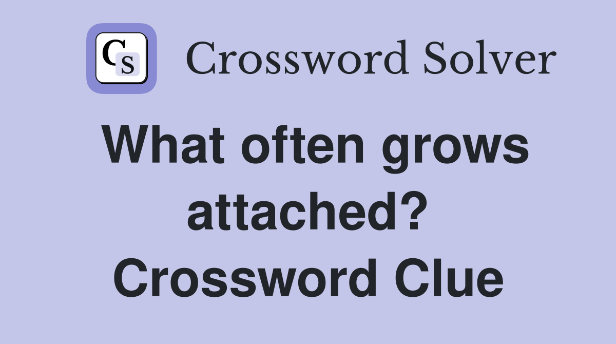 What often grows attached? Crossword Clue