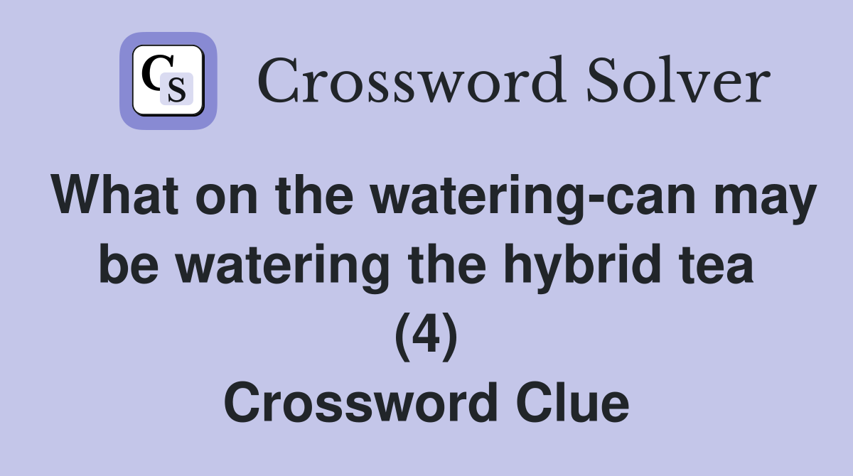 What on the watering-can may be watering the hybrid tea (4) Crossword Clue