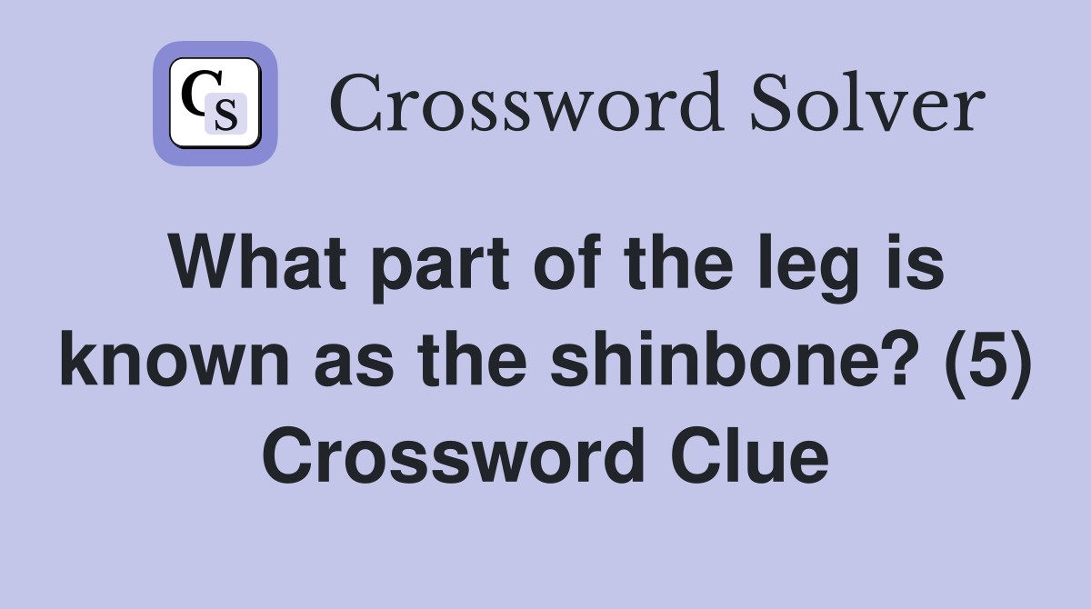 What part of the leg is known as the shinbone? (5) Crossword Clue