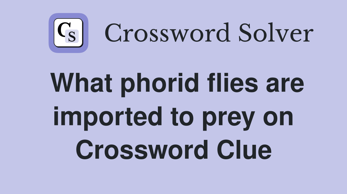 What phorid flies are imported to prey on Crossword Clue