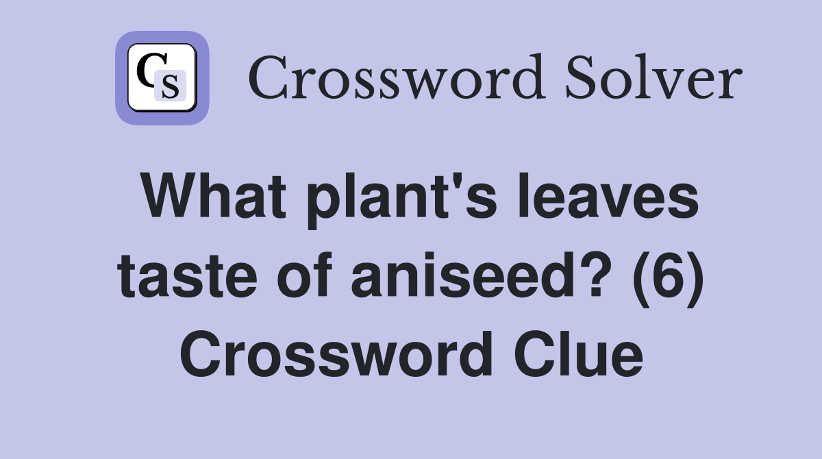 What plant's leaves taste of aniseed? (6) Crossword Clue
