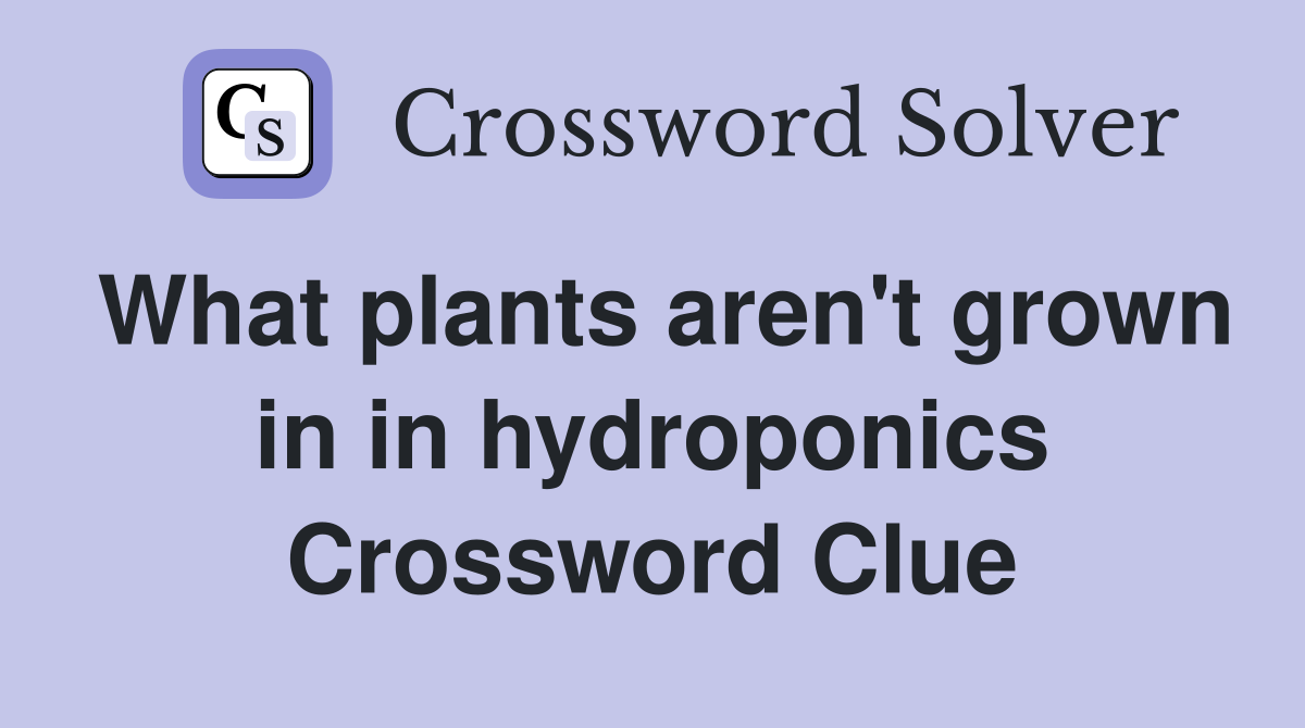 What plants aren't grown in in hydroponics Crossword Clue