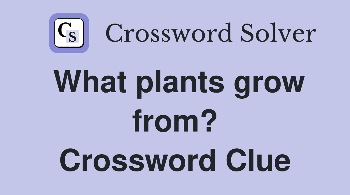What plants grow from? Crossword Clue