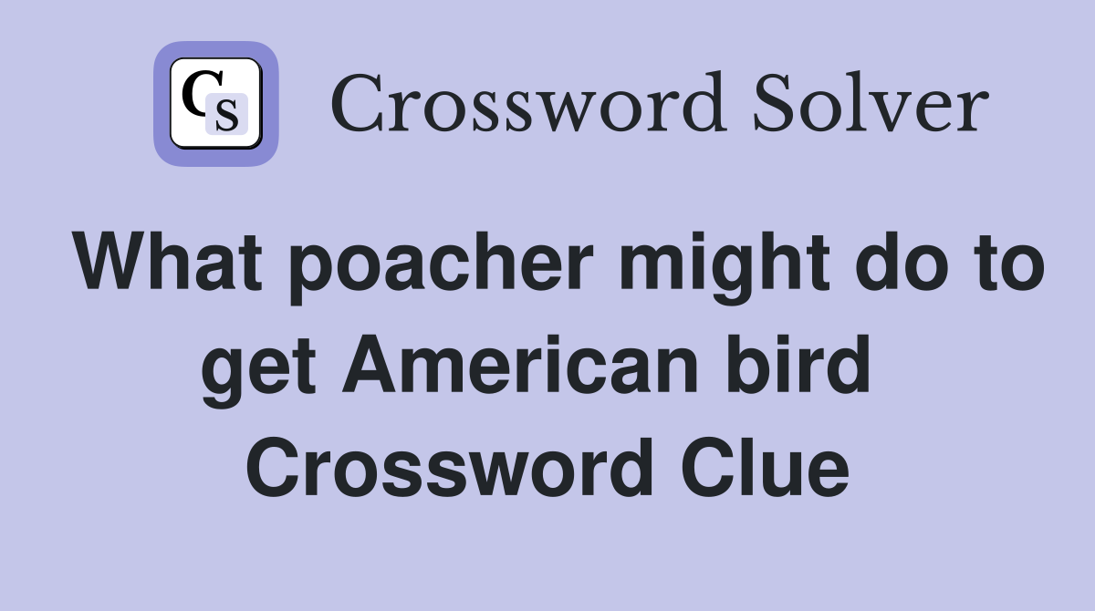 What poacher might do to get American bird  Crossword Clue