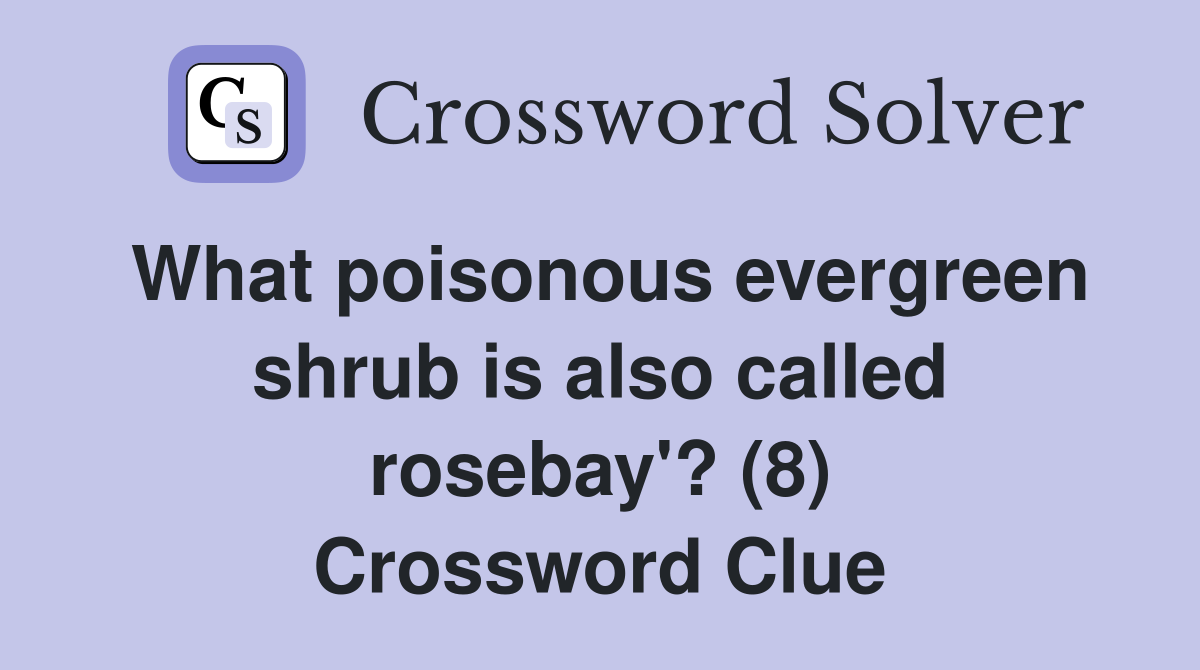 What poisonous evergreen shrub is also called rosebay'? (8) Crossword Clue