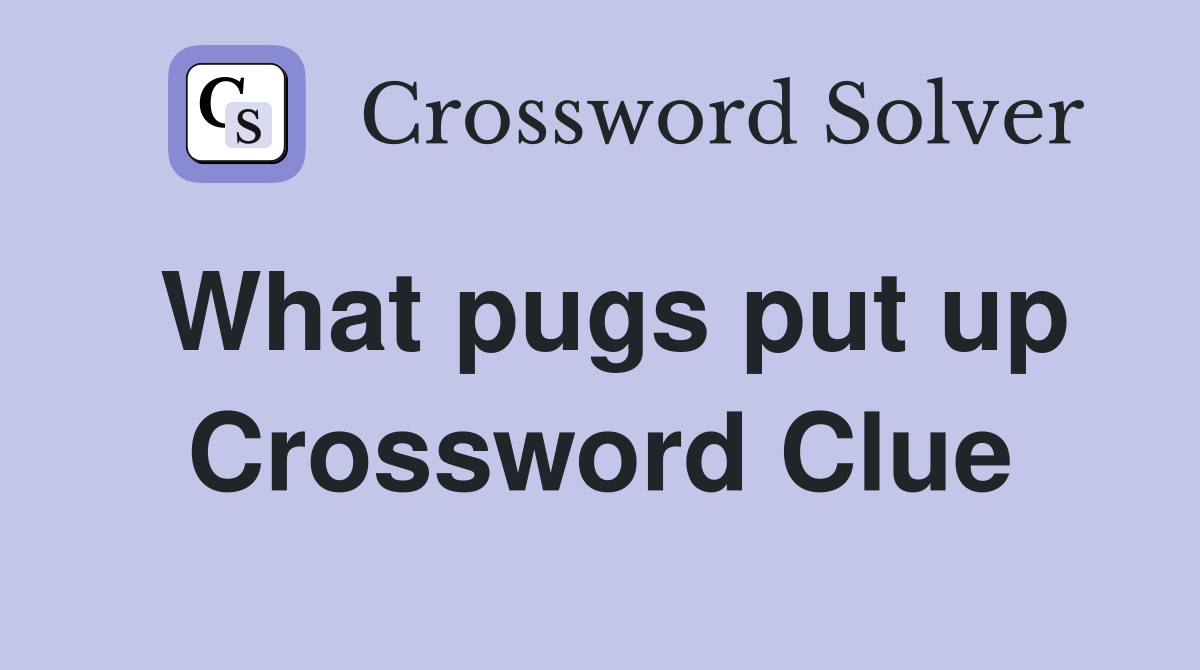 What pugs put up Crossword Clue
