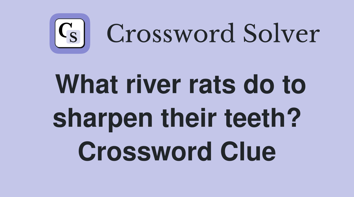 What river rats do to sharpen their teeth? Crossword Clue