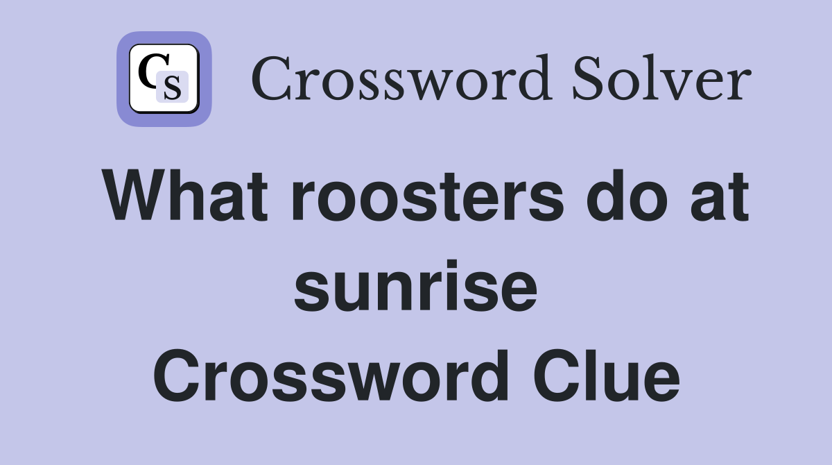 What roosters do at sunrise Crossword Clue