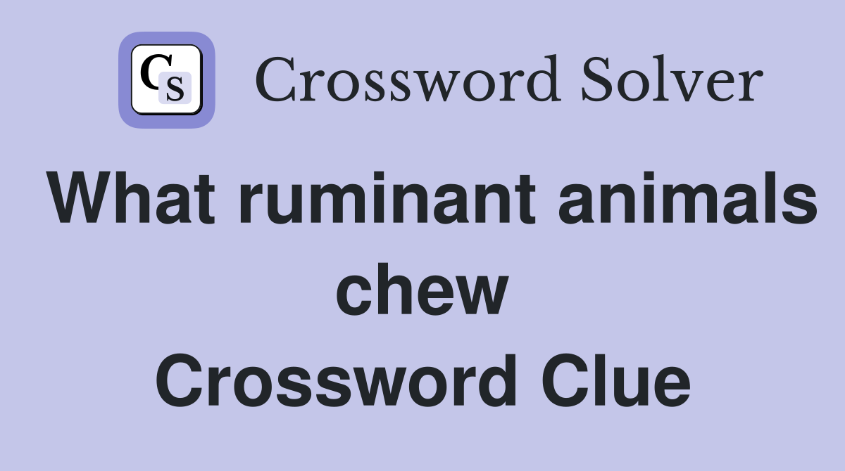 What ruminant animals chew Crossword Clue
