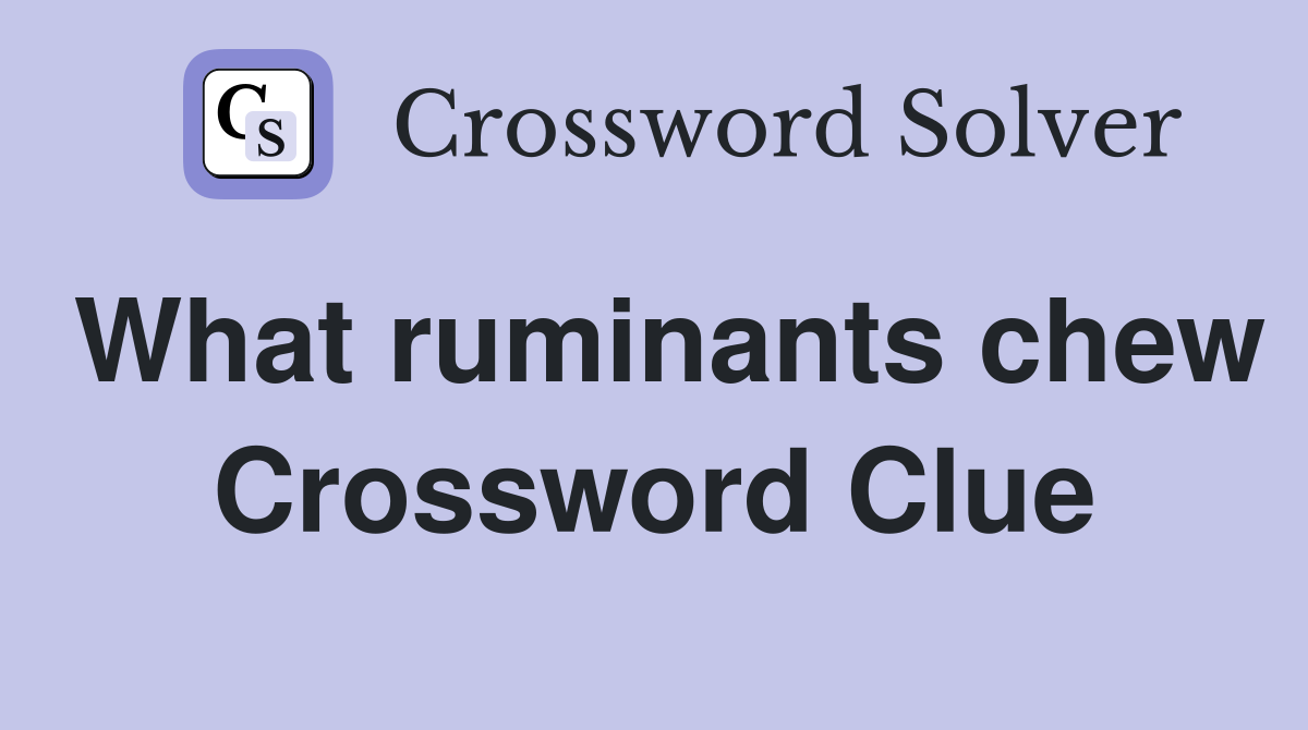 What ruminants chew Crossword Clue
