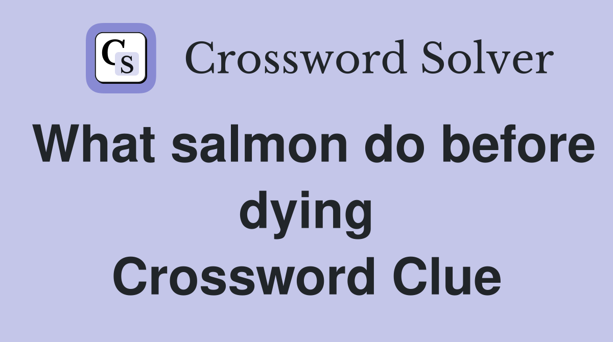 What salmon do before dying Crossword Clue