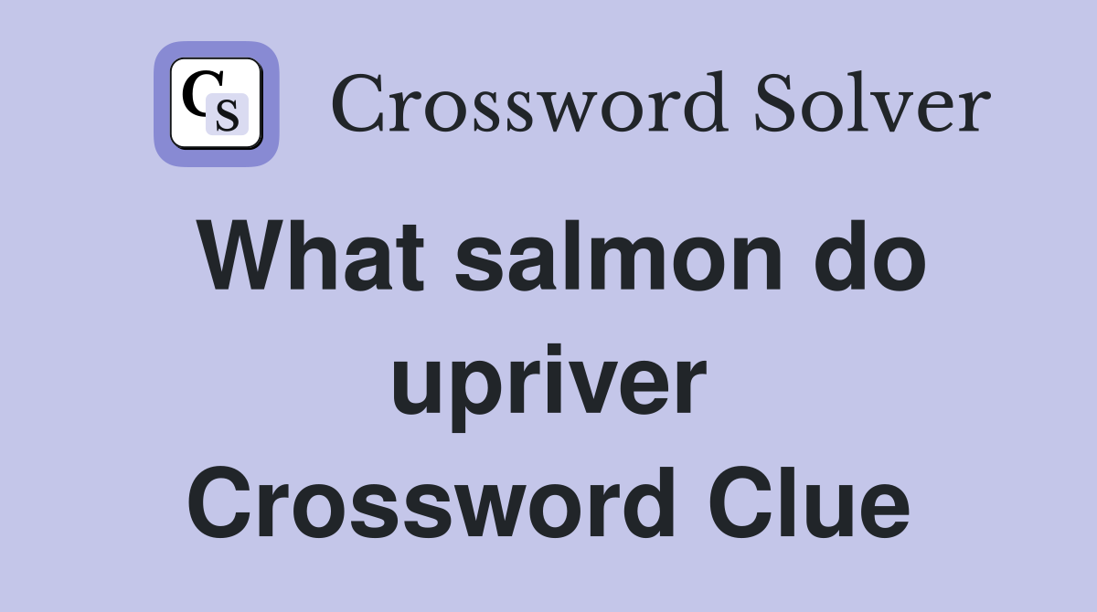 What salmon do upriver Crossword Clue