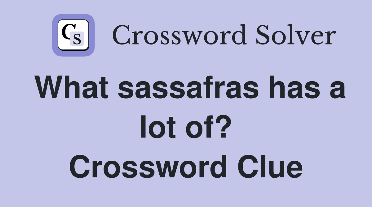 What sassafras has a lot of? Crossword Clue