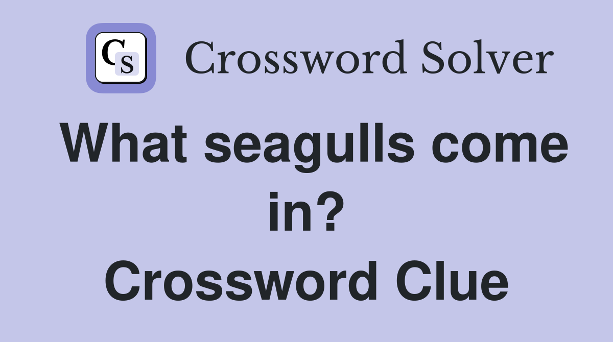 What seagulls come in? Crossword Clue