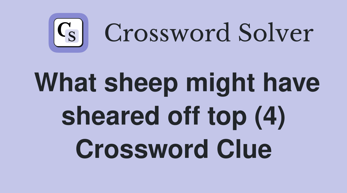 What sheep might have sheared off top (4) Crossword Clue