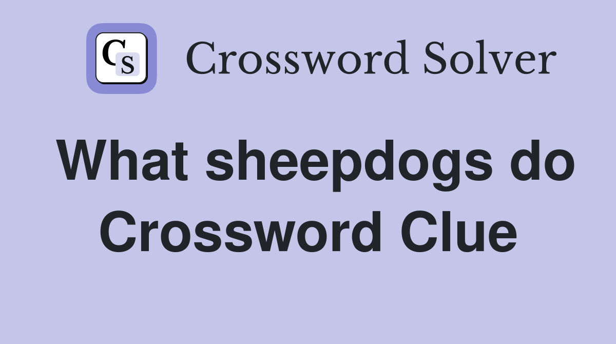What sheepdogs do Crossword Clue