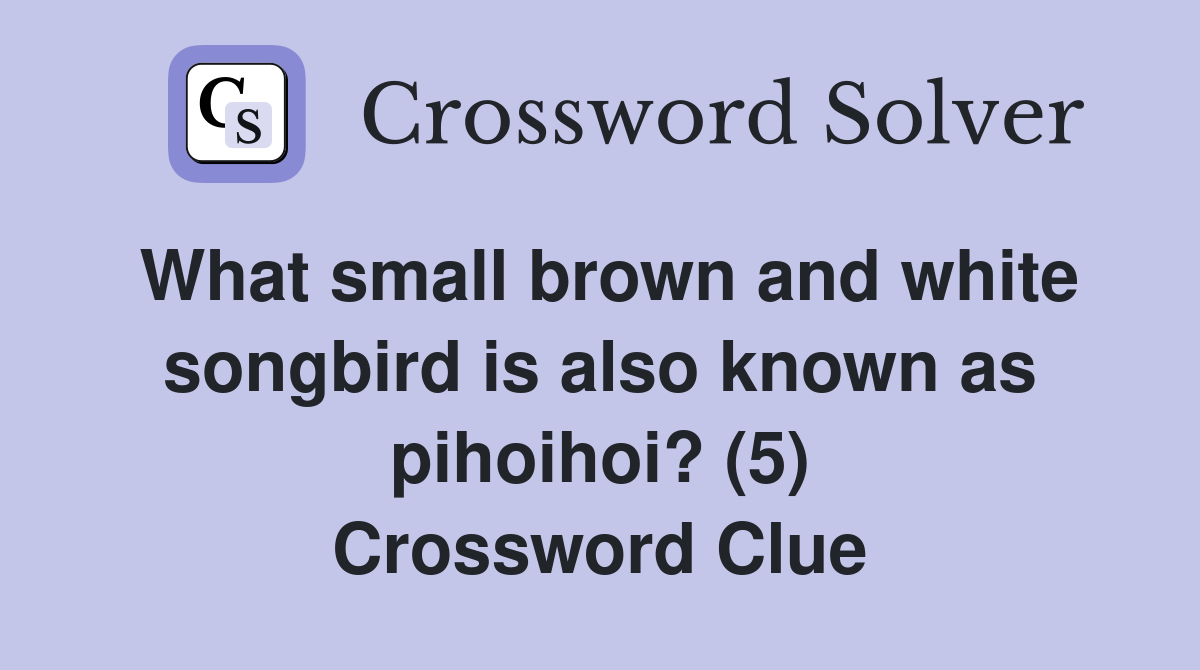 What small brown and white songbird is also known as pihoihoi? (5) Crossword Clue