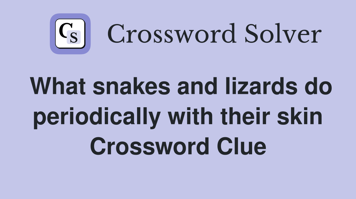 What snakes and lizards do periodically with their skin Crossword Clue