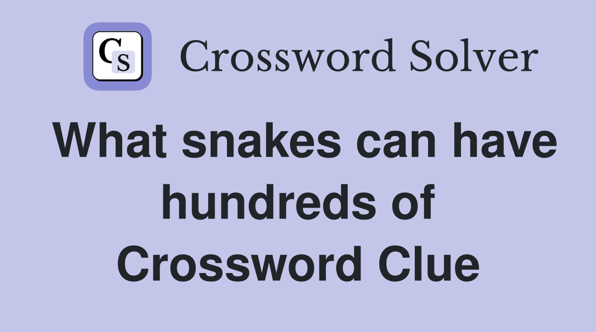 What snakes can have hundreds of Crossword Clue