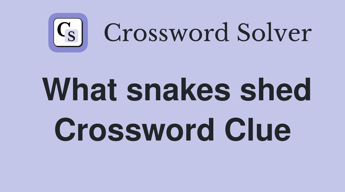 What snakes shed Crossword Clue