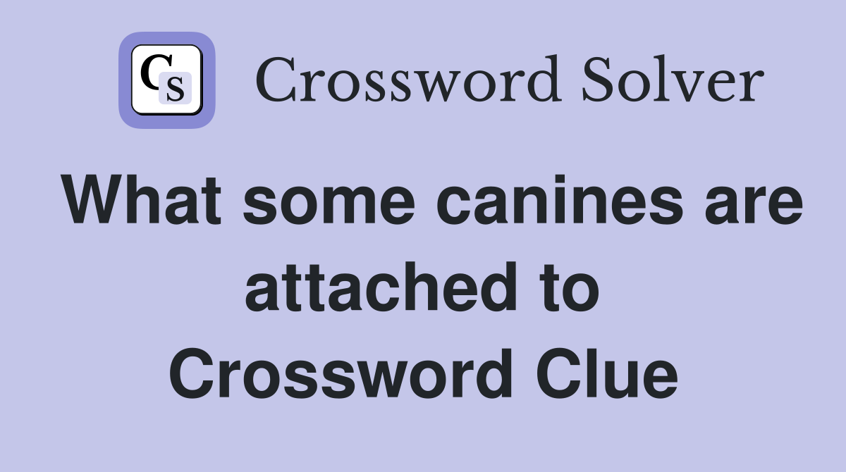 What some canines are attached to Crossword Clue