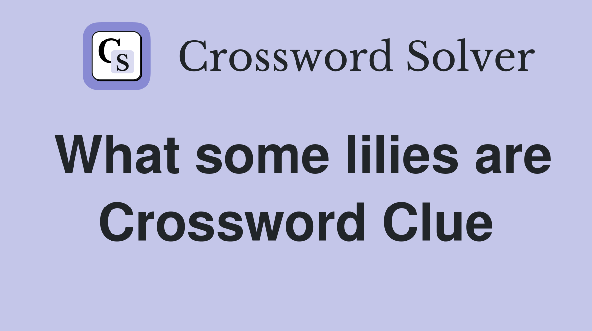 What some lilies are Crossword Clue