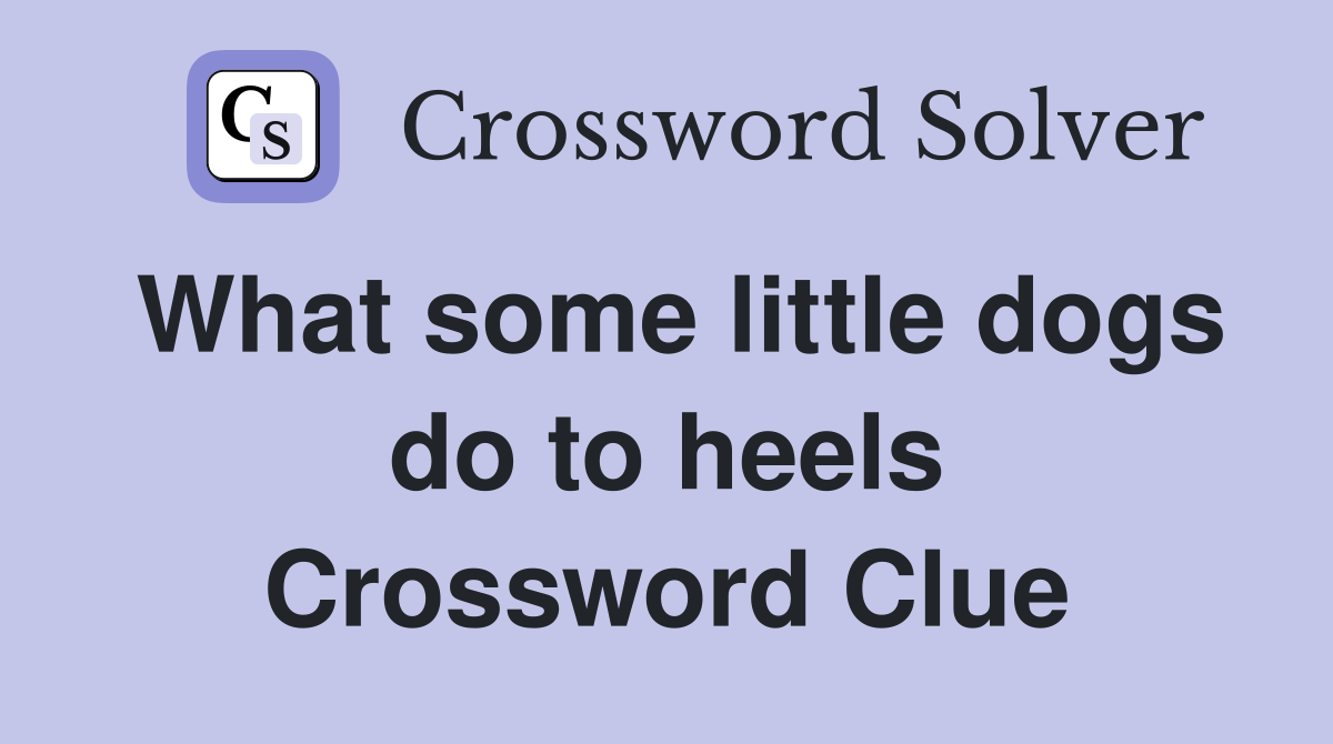 What some little dogs do to heels Crossword Clue