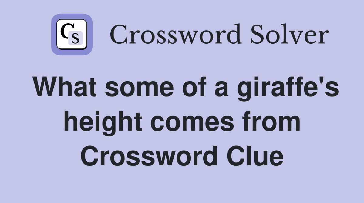 What some of a giraffe's height comes from Crossword Clue