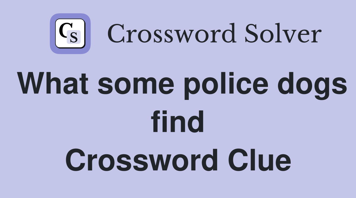 What some police dogs find Crossword Clue