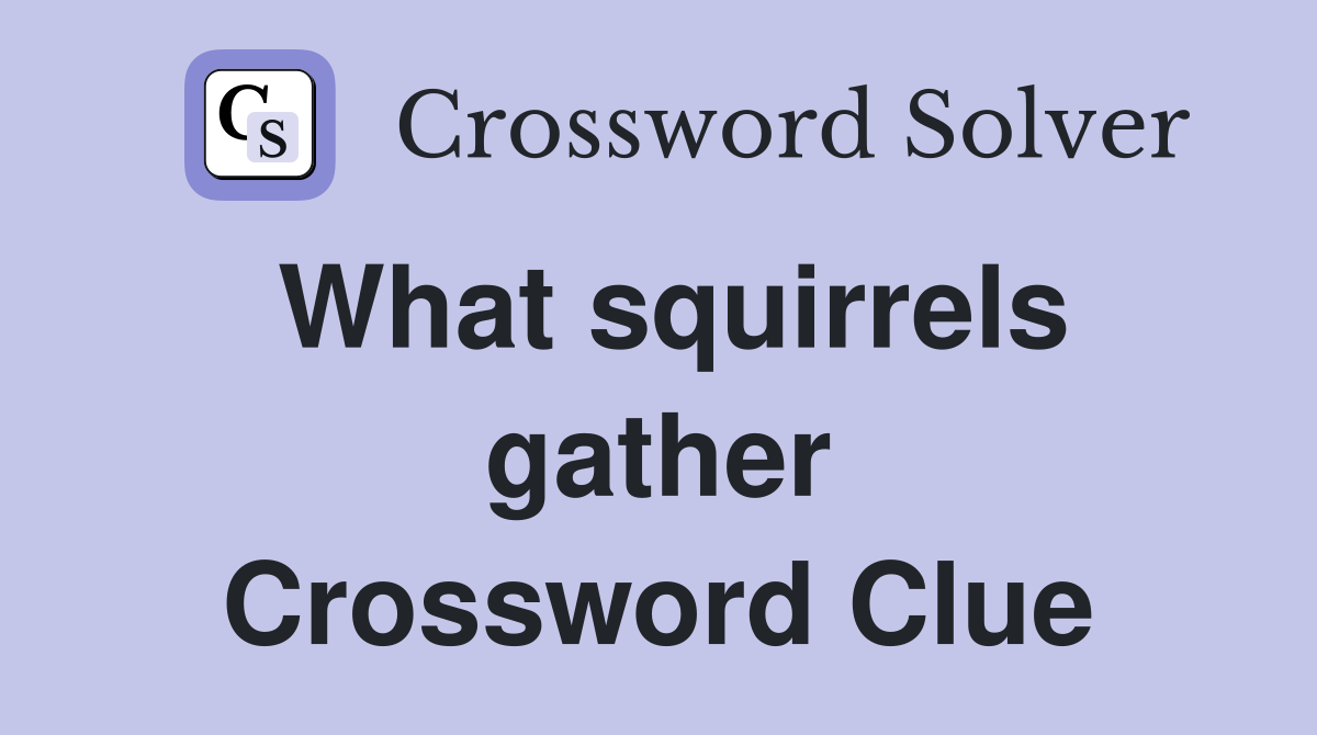 What squirrels gather Crossword Clue