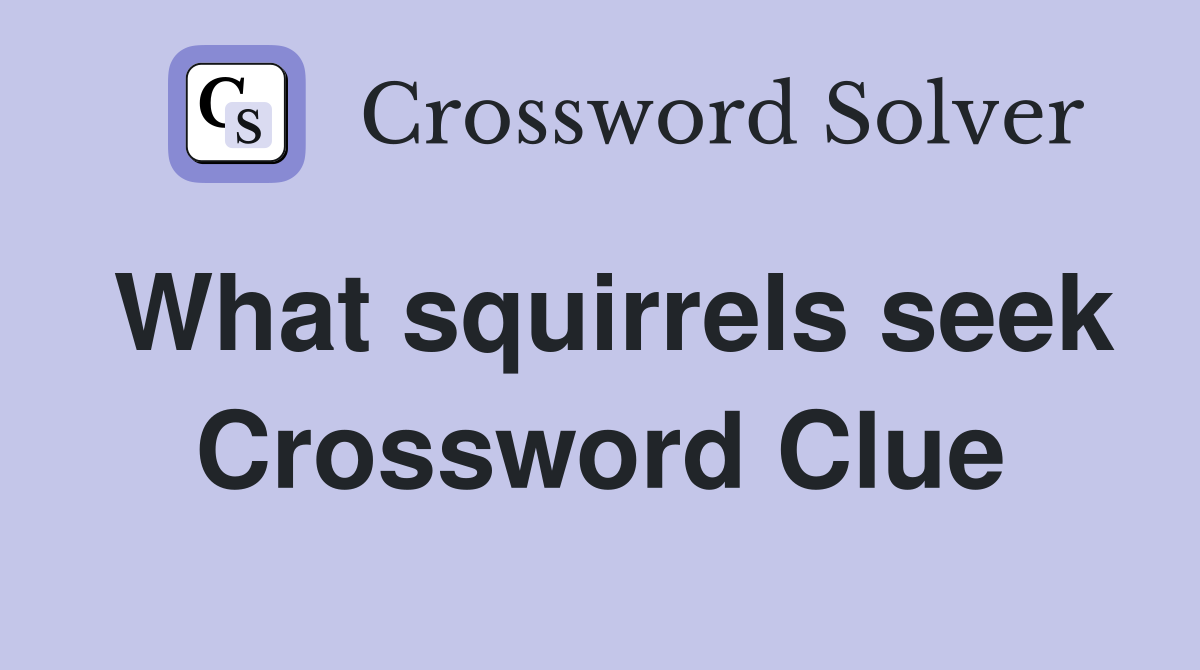 What squirrels seek Crossword Clue
