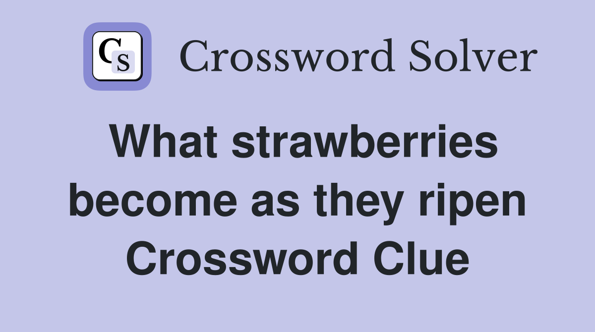 What strawberries become as they ripen Crossword Clue