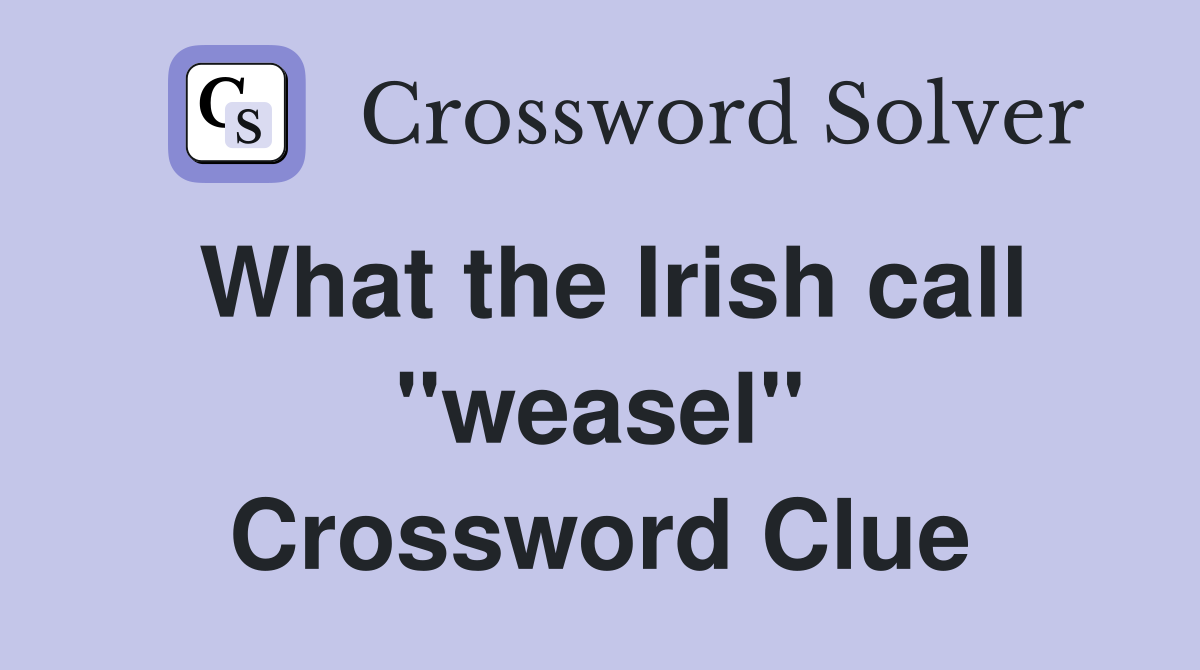 What the Irish call ''weasel'' Crossword Clue