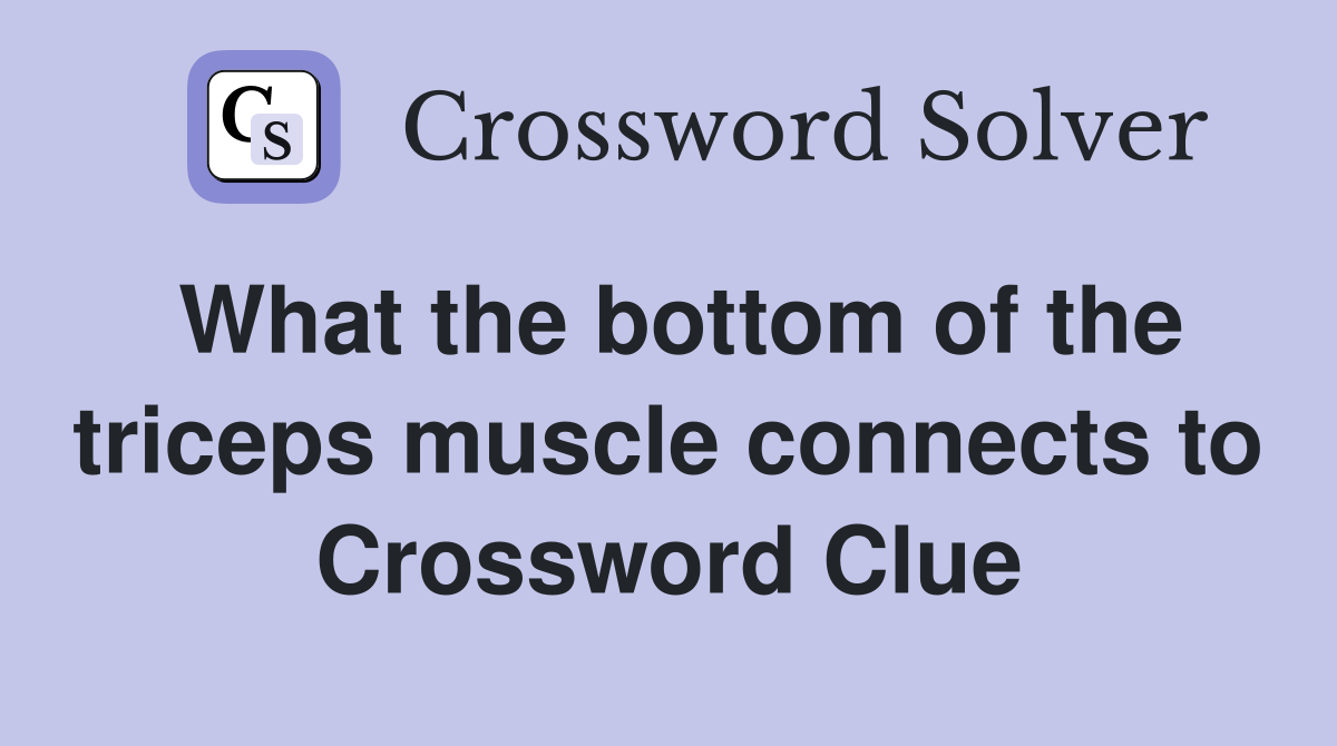 What the bottom of the triceps muscle connects to Crossword Clue