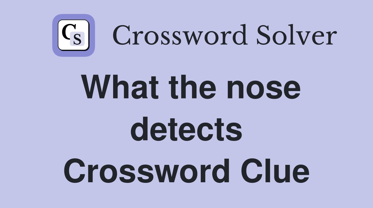 What the nose detects Crossword Clue