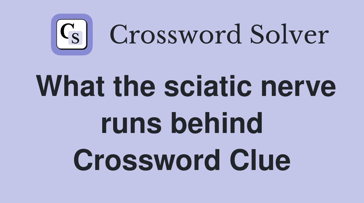 What the sciatic nerve runs behind Crossword Clue