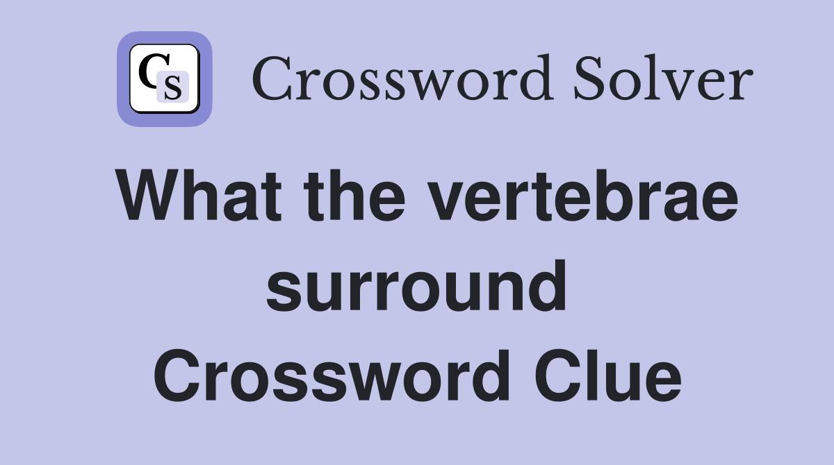 What the vertebrae surround Crossword Clue