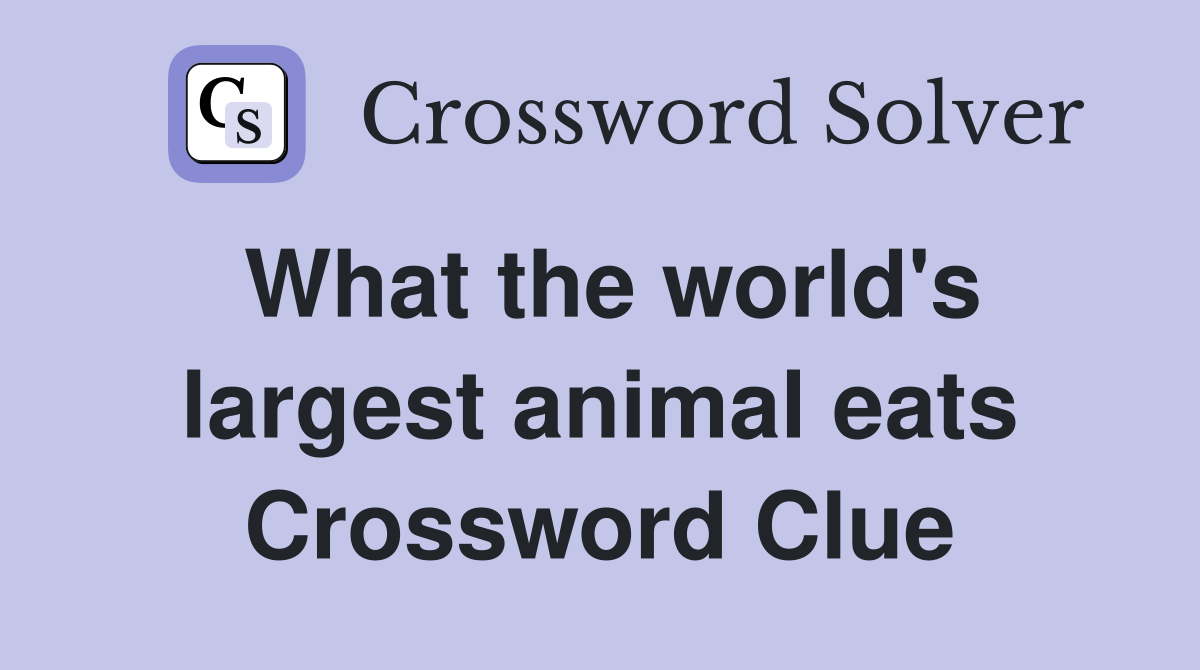 What the world's largest animal eats Crossword Clue