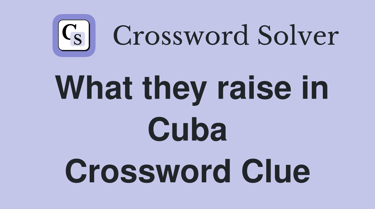 What they raise in Cuba Crossword Clue