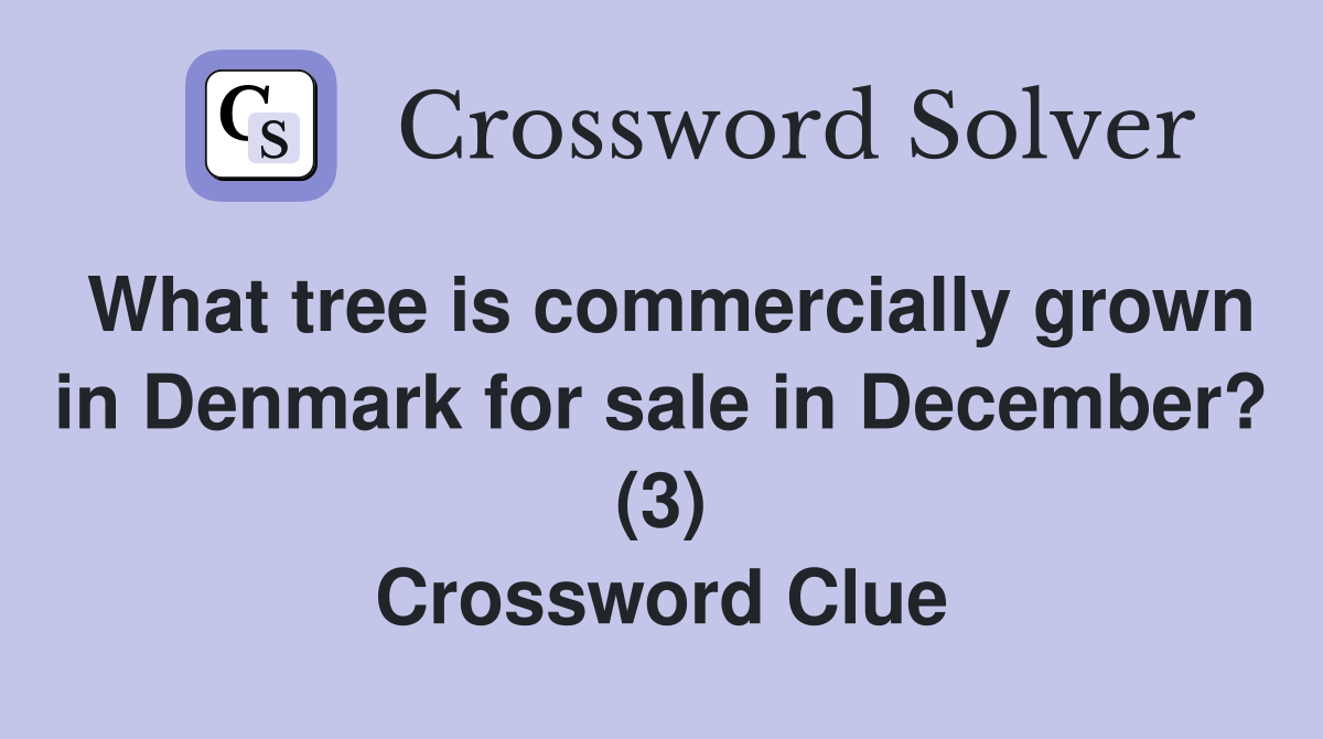 What tree is commercially grown in Denmark for sale in December? (3) Crossword Clue